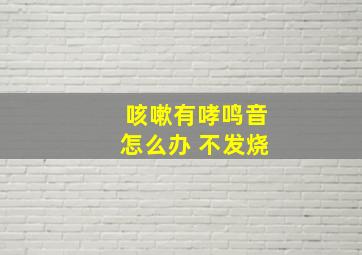 咳嗽有哮鸣音怎么办 不发烧